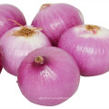 2021 New Harvest Export Natural Hot Selling Good Chinese Fresh Onion